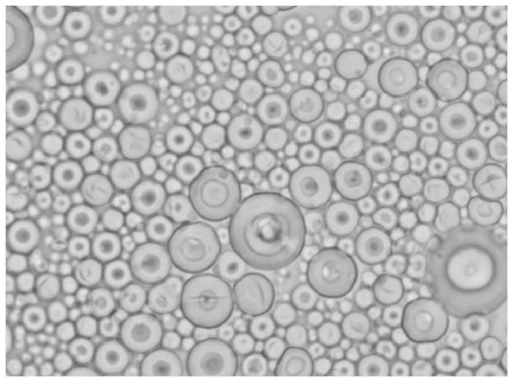 Le dernier brevet pour la méthode de préparation de micropoudre de silicium sphérique