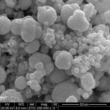 Les nanoparticules d'or régulent l'axe « microbiote-intestin-articulation » pour exercer un effet anti-arthrose