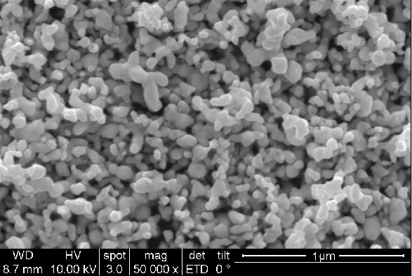 Utilisation de MMT composite de chitosane modifié à l'arginine chargé d'argent pour une conservation antibactérienne synergique dans les aliments