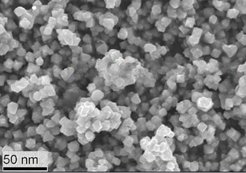 Nanoparticules d'oxyde de fer en imagerie pondérée magnétosensible haute résolution