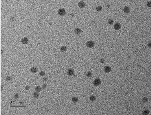 Utilisation innovante de nanoparticules de sulfure d'argent dans des hydrogels de double réseau de légèreté pour la thérapie photothermique du cancer