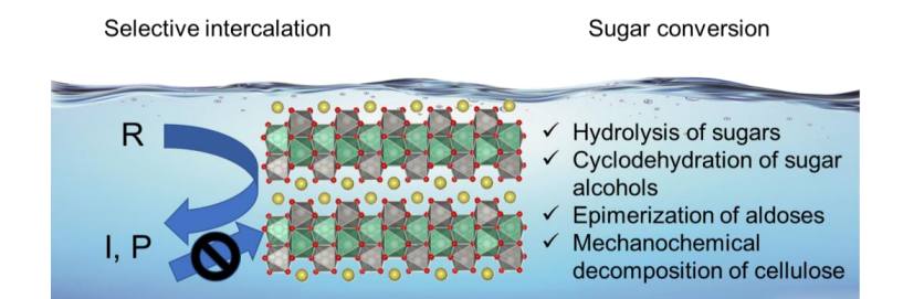 surface hydroxyl engineering