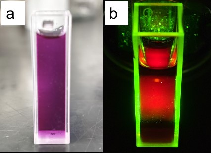 Nanoparticules de points quantiques de carbone à lumière rouge (CQD)